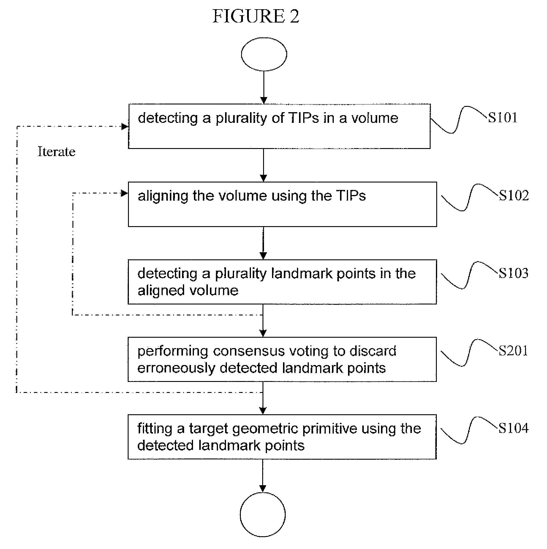 Anatomical Primitive Detection