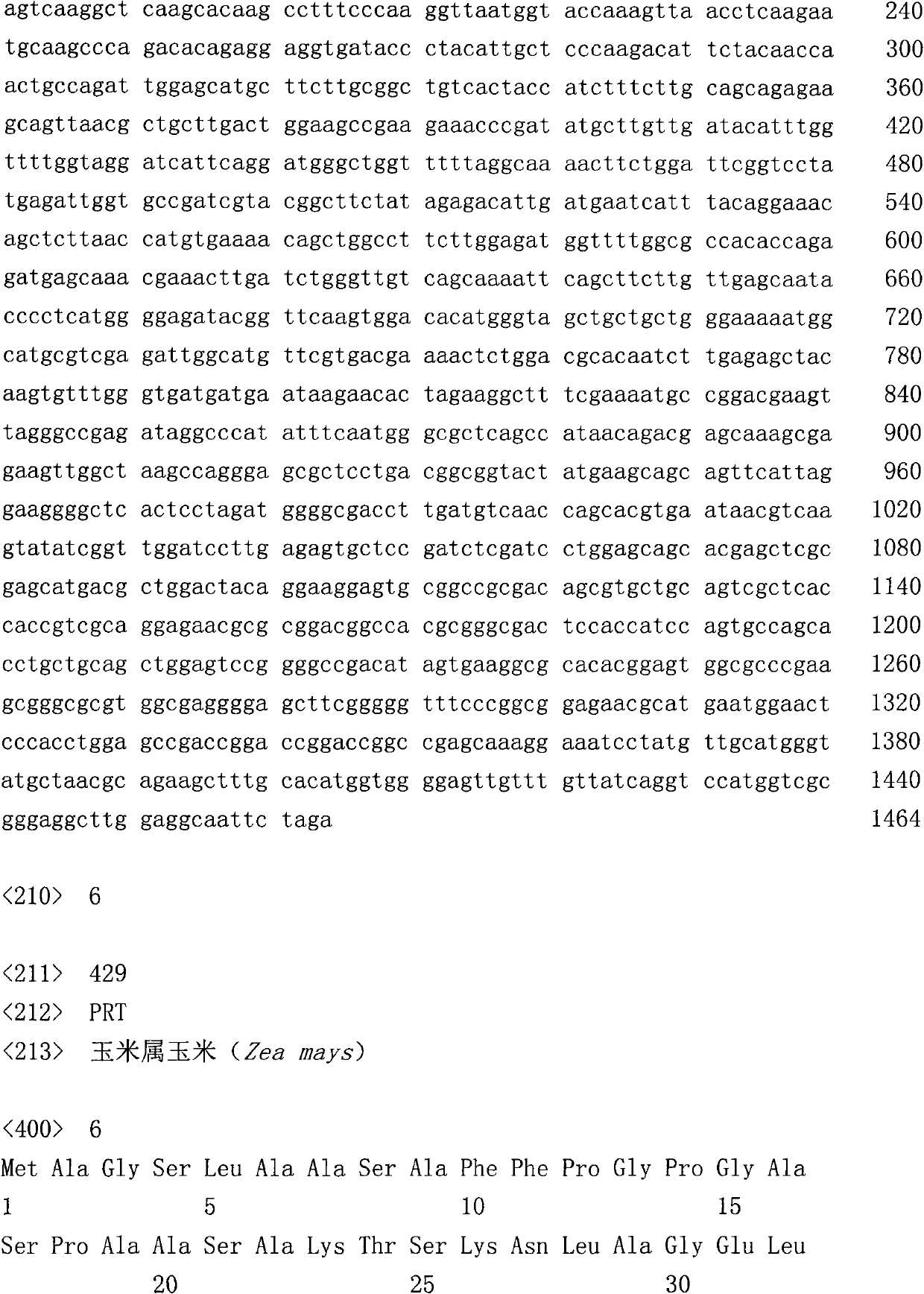 Protein, gene and function fragment involved in palmitic acid synthesis and application thereof