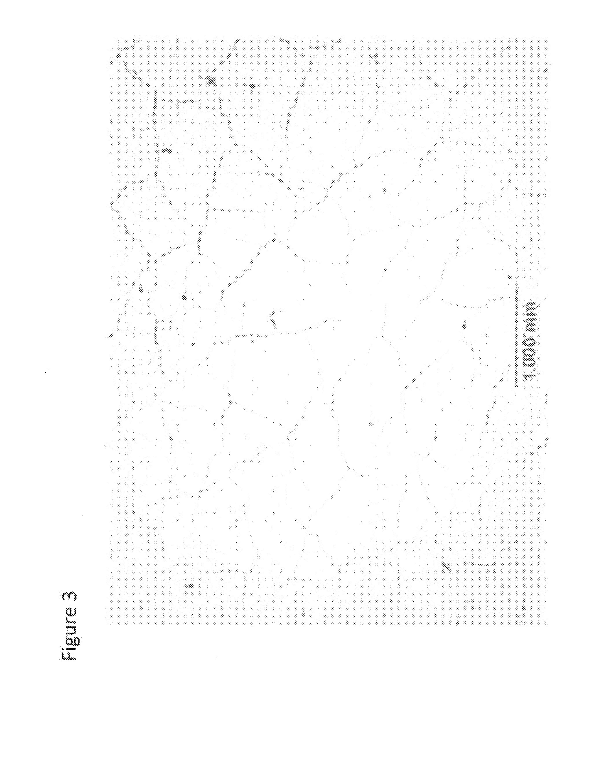 Curable compositions containing isocyanate functional components having improved durability