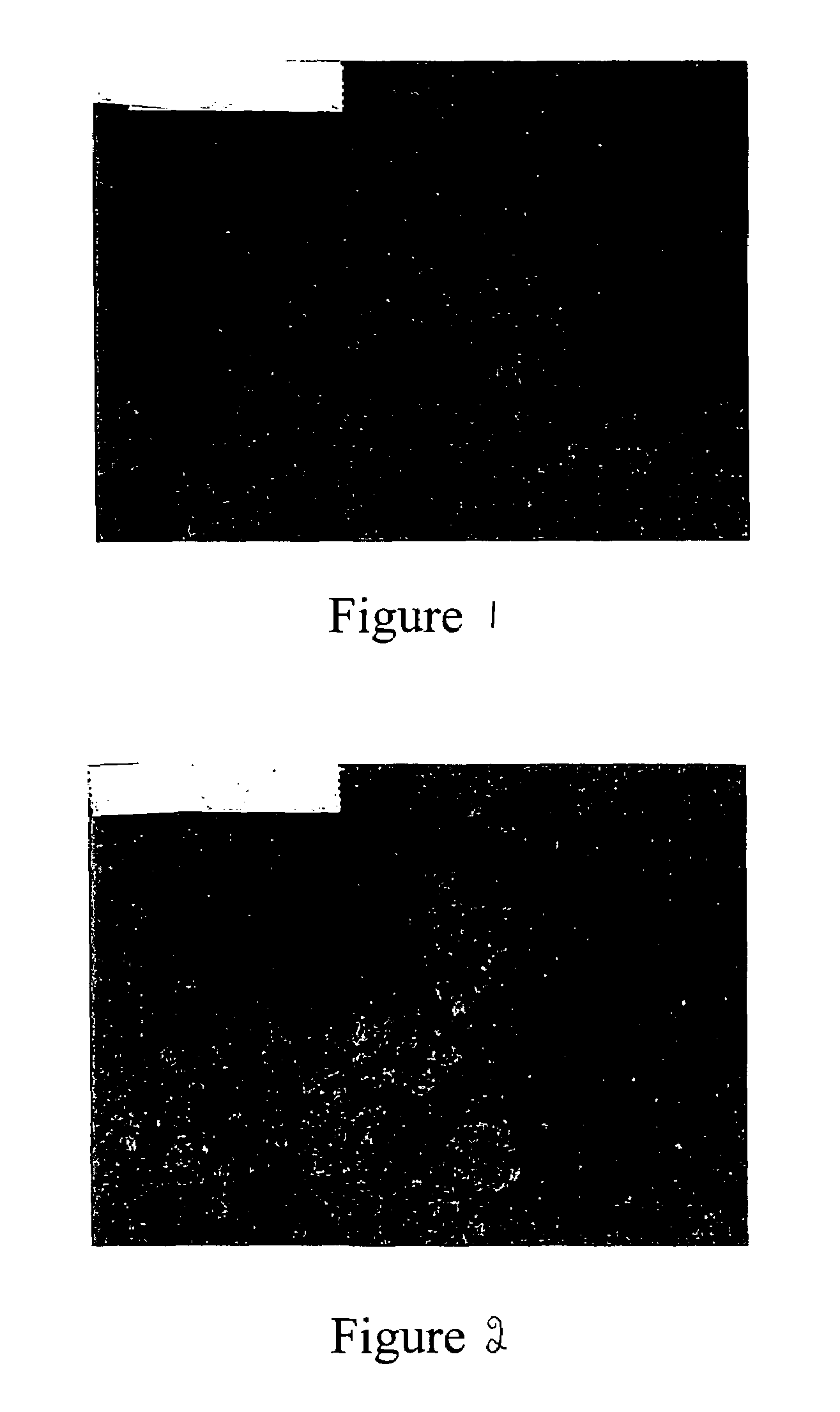 Medical devices with associated growth factors