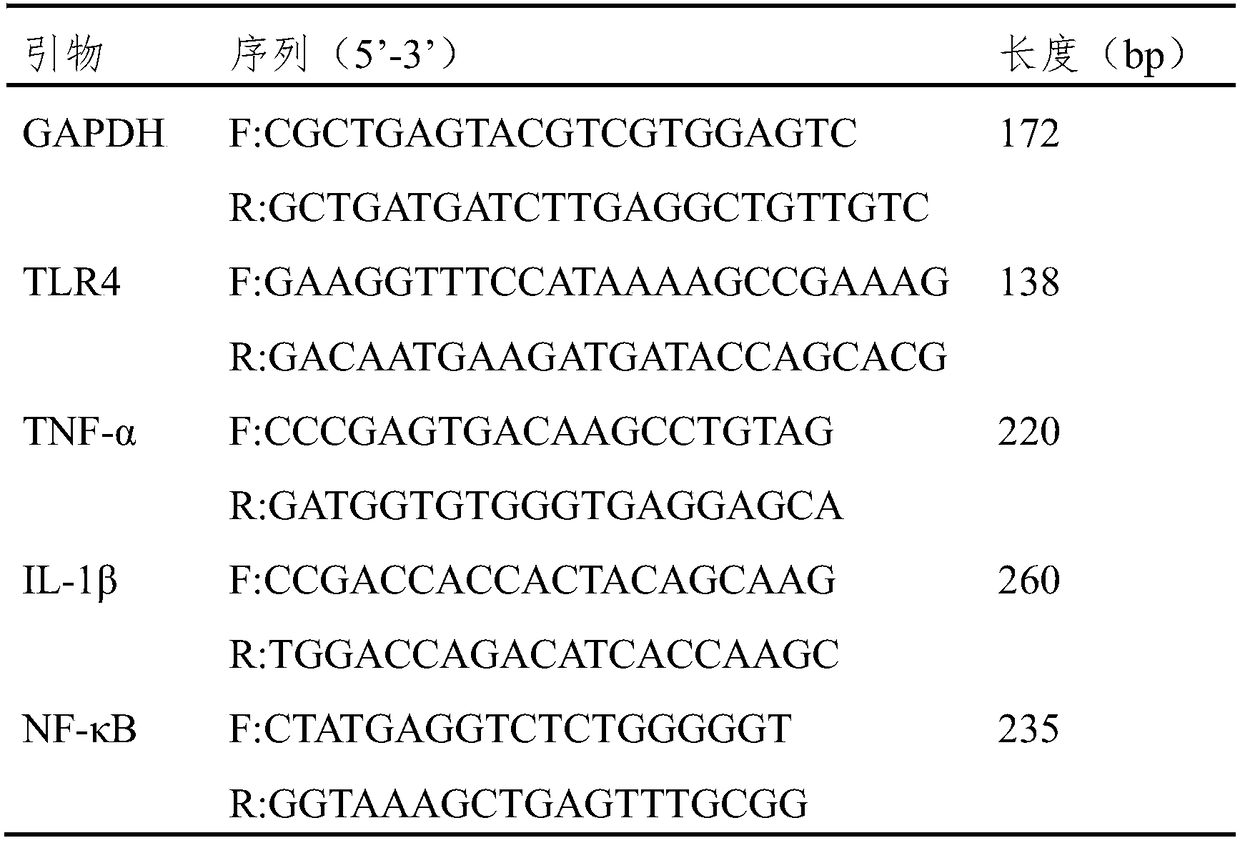 Method for establishing HT-29 cell inflammatory model and application