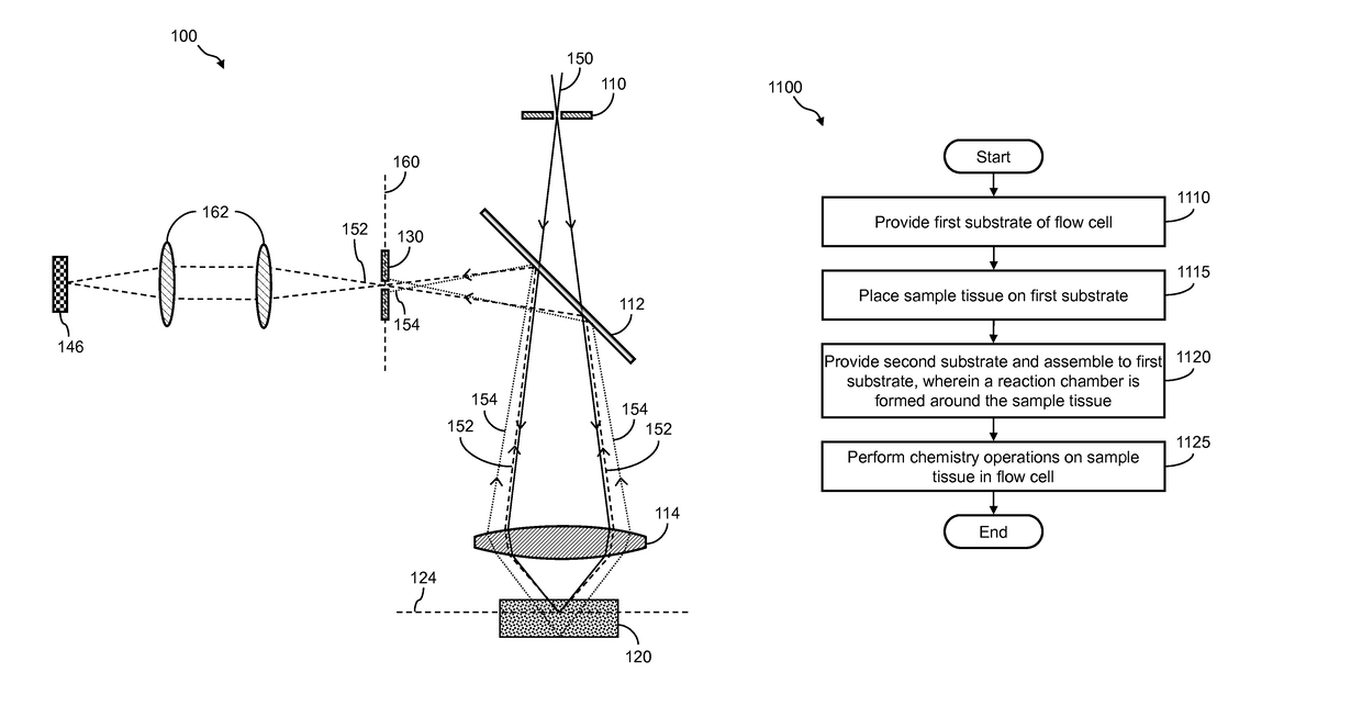 Optical scanning systems for in situ genetic analysis