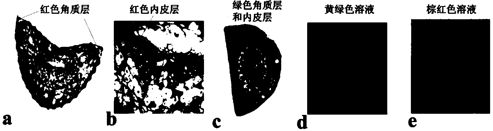 Method for extracting red pigment from green pin needles