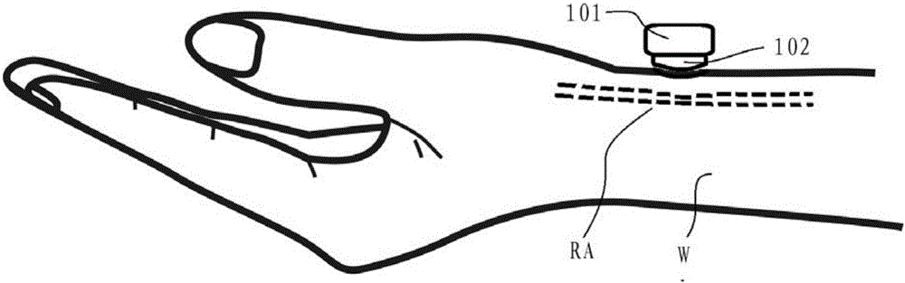 Pulse pressure conduction structure, portable blood pressure detection module and intelligent wearable device