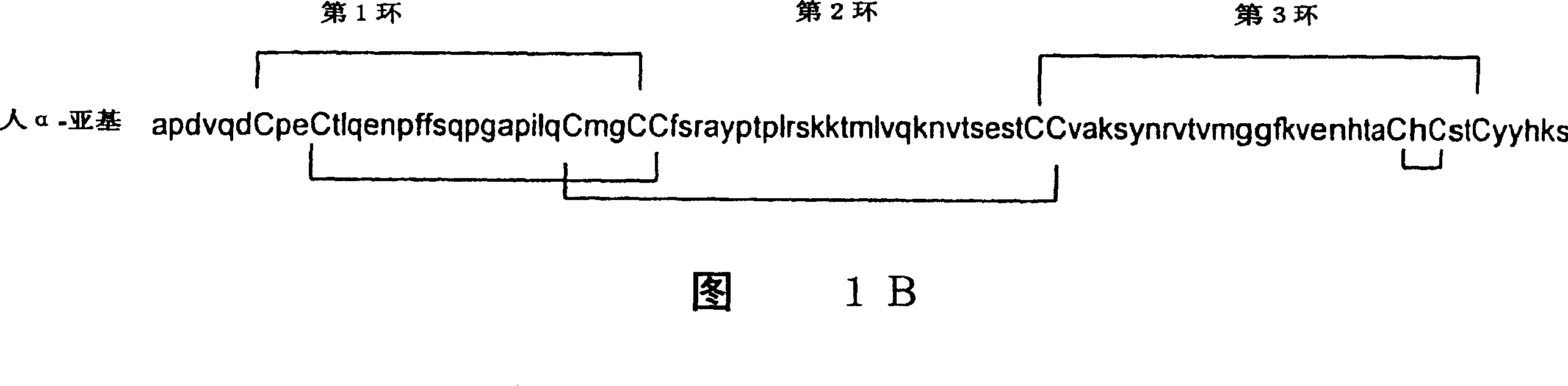 Disulfide cross-linked glycoprotein hormone analogs, their preparation and use