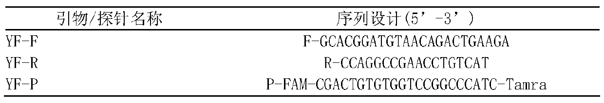 A yellow fever virus detection kit based on rpa technology and its application