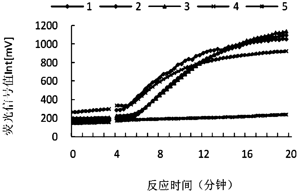 A yellow fever virus detection kit based on rpa technology and its application