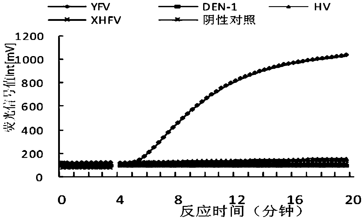 A yellow fever virus detection kit based on rpa technology and its application