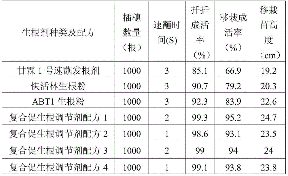 A kind of compound regulator for promoting root growth of Chinese fir cuttings and seedling cultivation and preparation method thereof