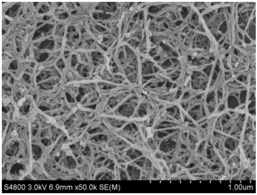 Transparent super-hydrophobic coating and preparation method thereof