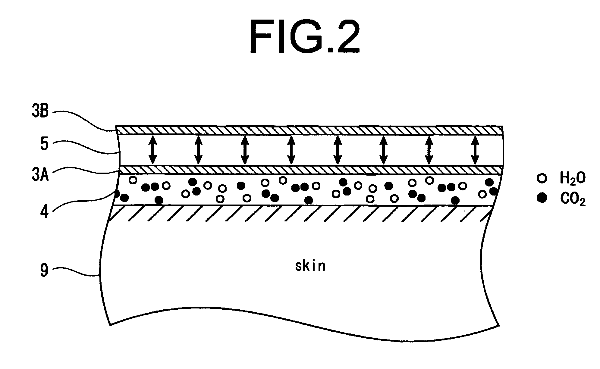 Pressurized carbon dioxide bathing apparatus