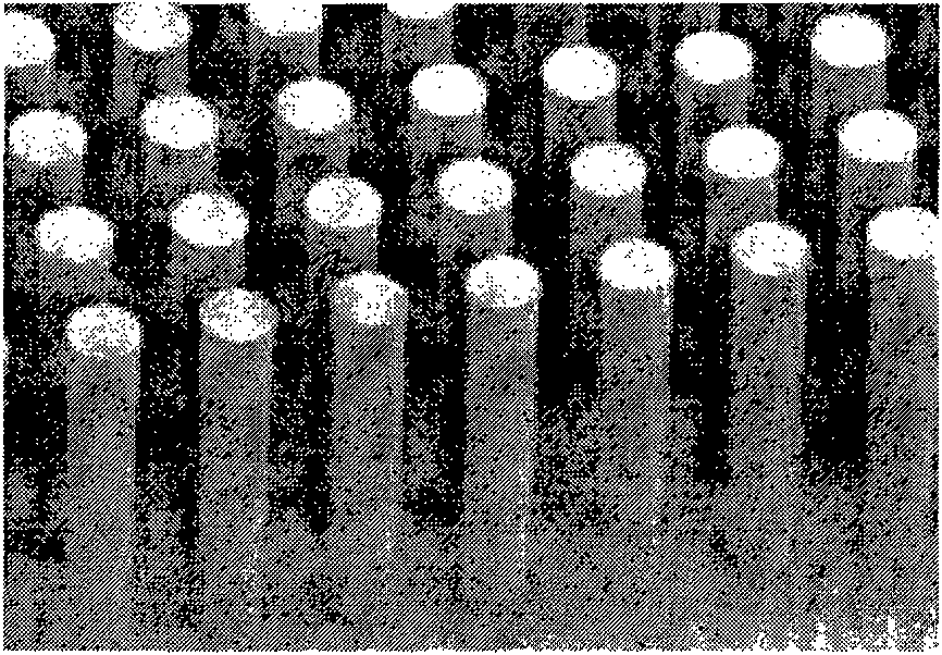 Three-dimensional structure microelectrode applied to mini-super capacitor and manufacturing method thereof