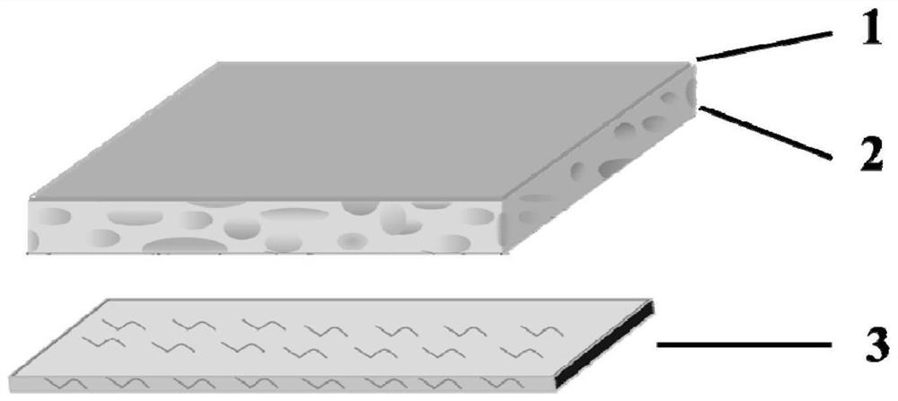 Wound dressing with antibacterial and bacterial warning functions and preparation method thereof