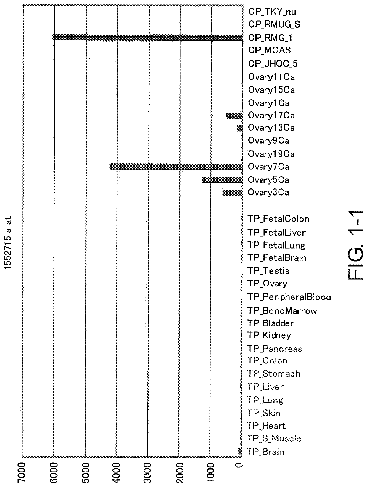 Diagnosis and treatment of cancer using Anti-lgr7 antibody