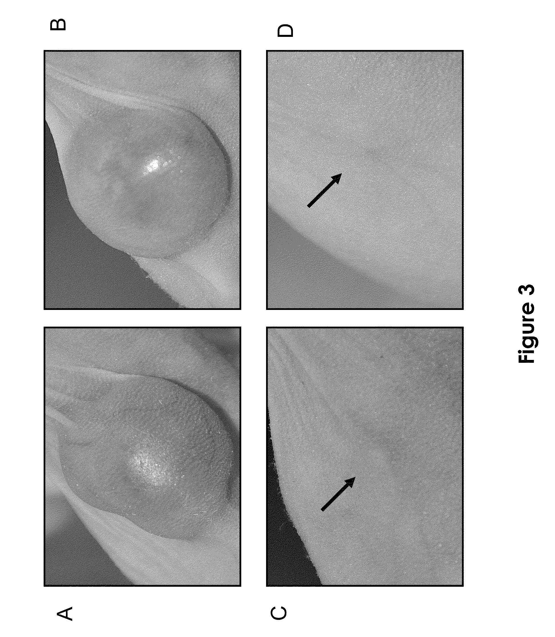 Pharmaceutical compounds