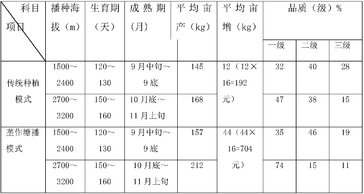 Method for planting high-quality chenopodium quinoa willd in high and cold mountainous areas