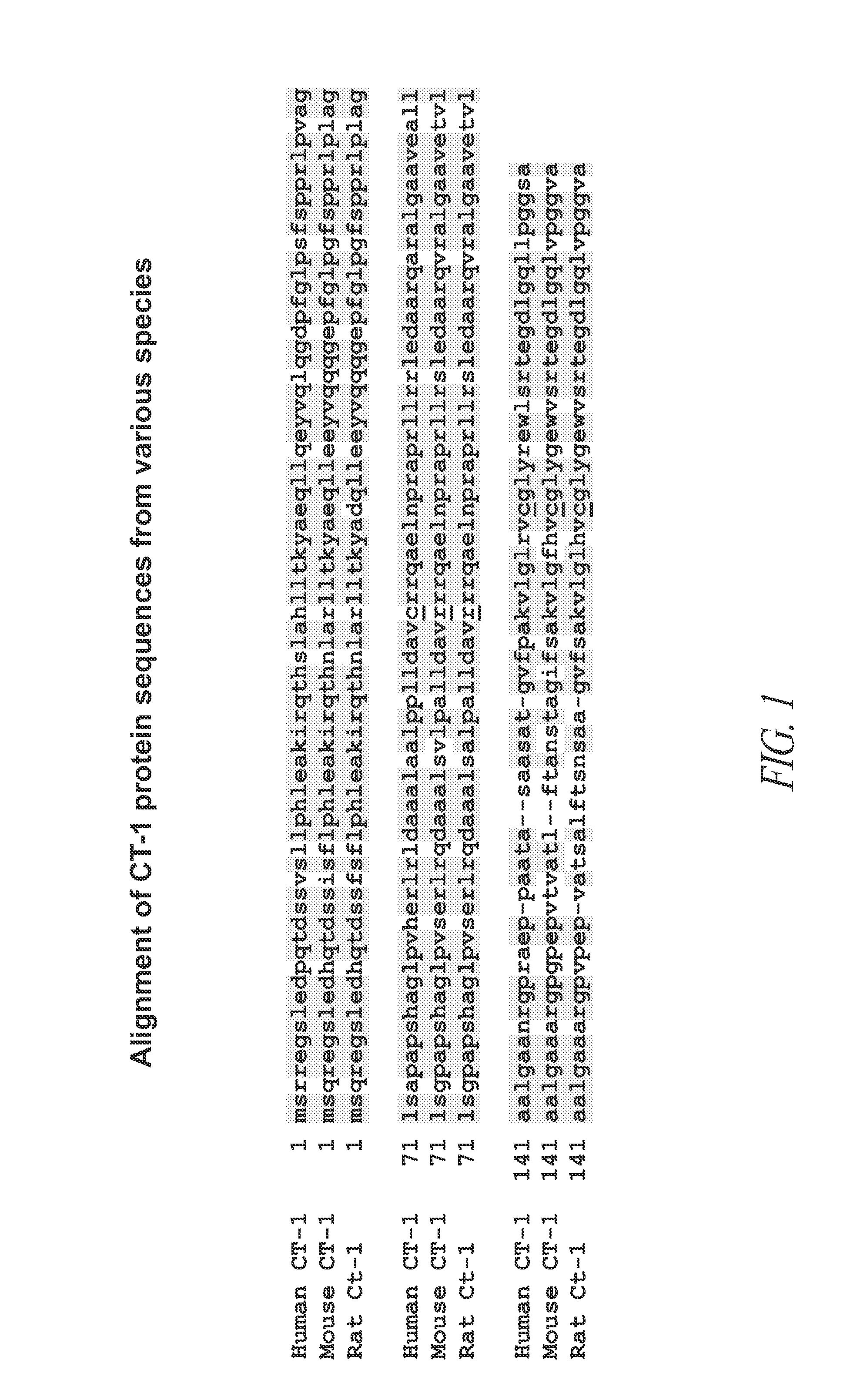 Cardiotrophin related molecules for enhanced therapeutics