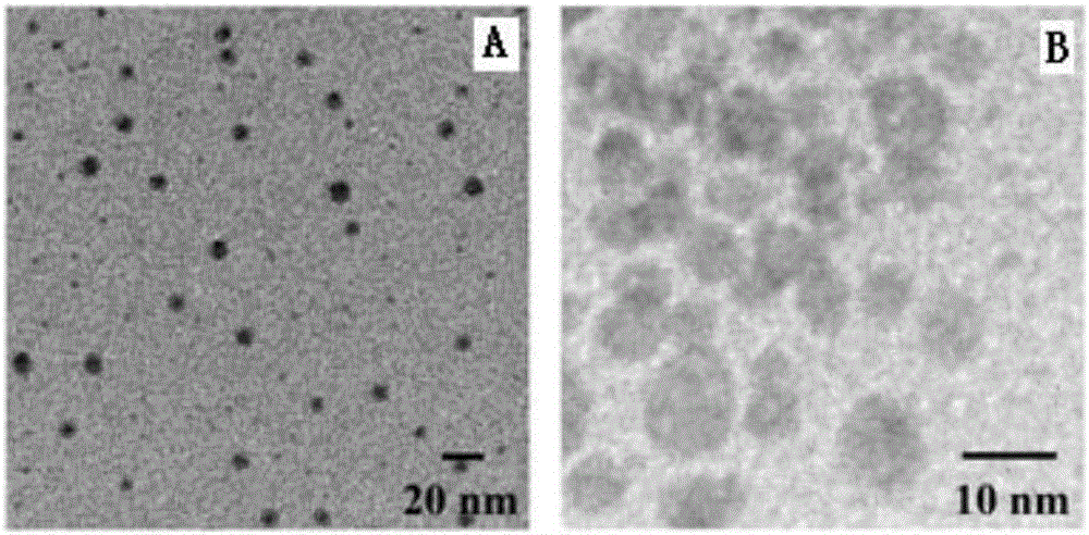 Polyethylene glycol vitamin E succinate modified tigecycline loading silver nanoparticles as well as preparation and application