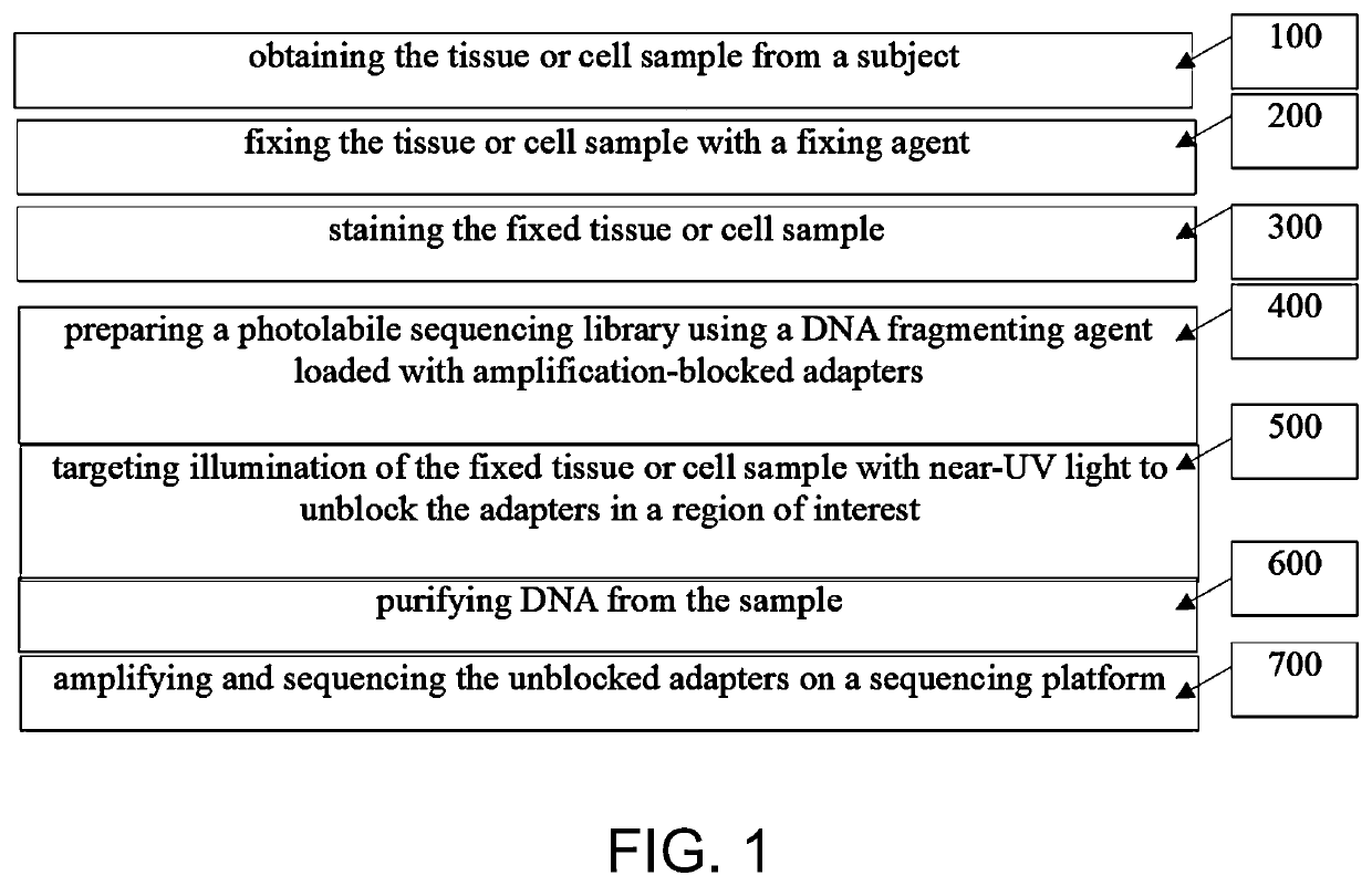 Photoselective non-invasive targeted genomic and epigenomic sequencing of spatially-defined cells or subcellular regions