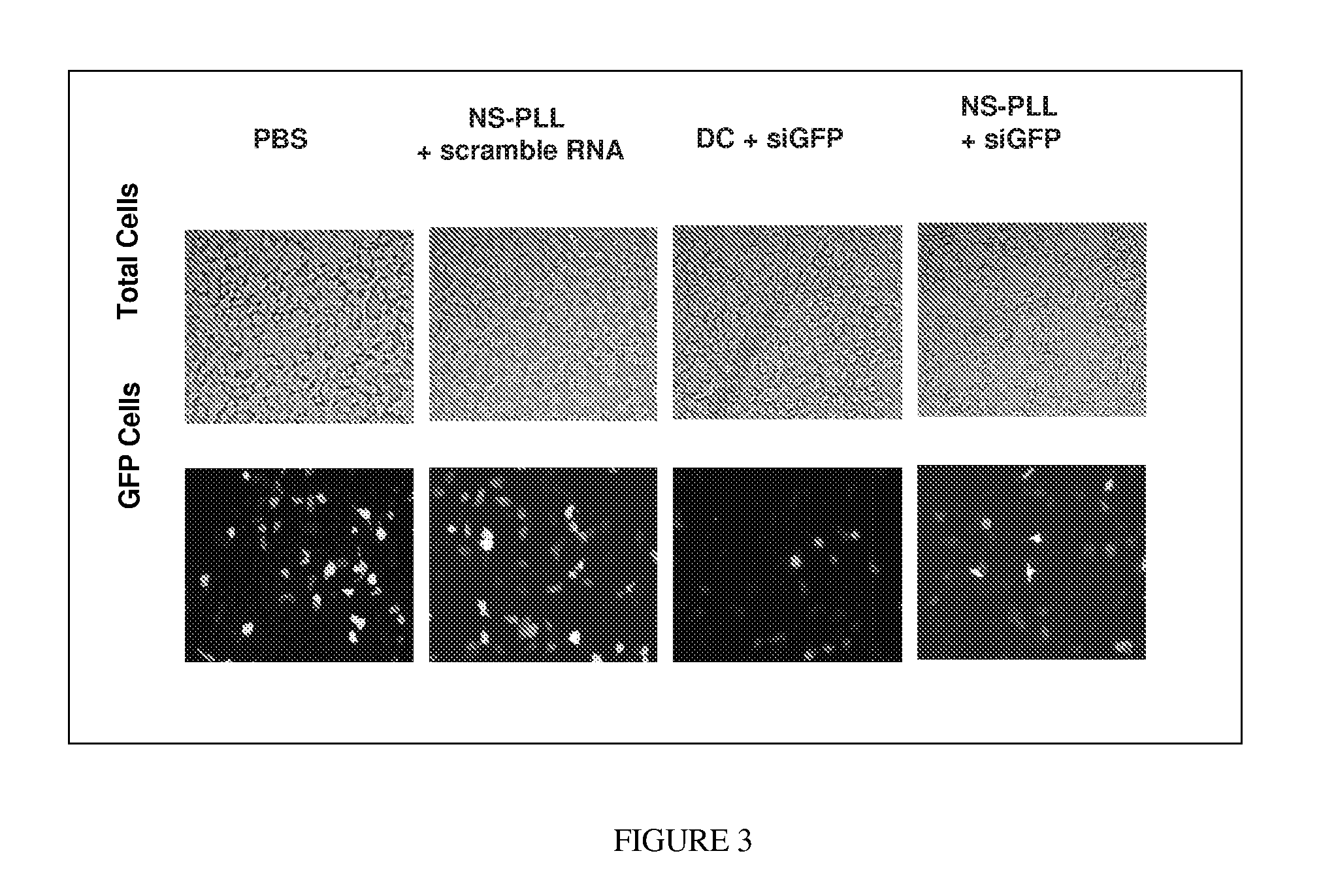 Composition for Targeted Drug Delivery and Controlled Release