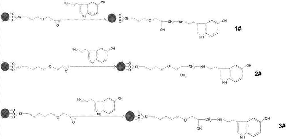 Serotonin-magnetic particle compound and method for enriching sialylated glycoprotein