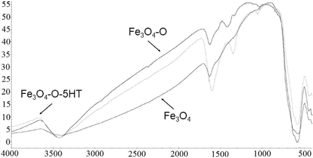 Serotonin-magnetic particle compound and method for enriching sialylated glycoprotein