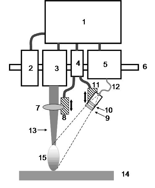 Method for rapid detection of waste oil based on laser-induced breakdown spectroscopy