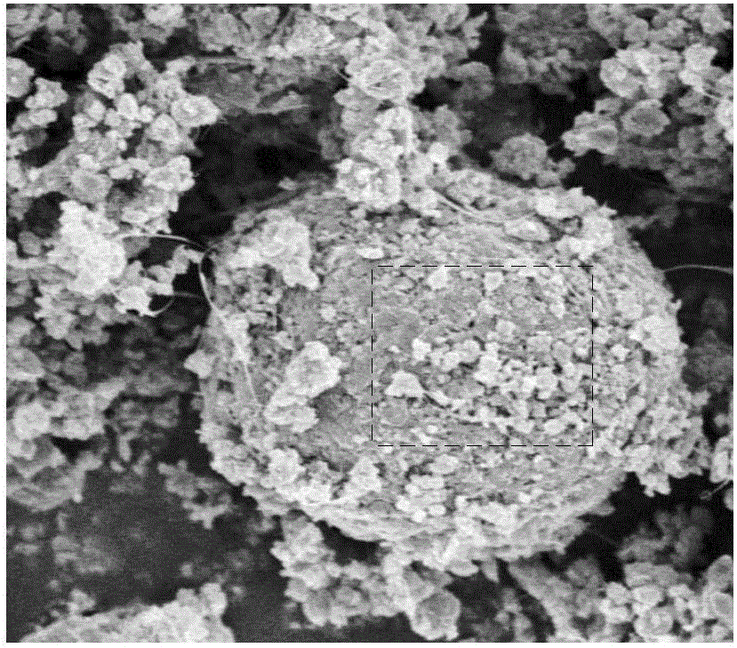 Self-assembly preparation method of lithium manganese phosphate positive electrode material and lithium manganese phosphate positive electrode material