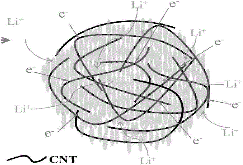 Self-assembly preparation method of lithium manganese phosphate positive electrode material and lithium manganese phosphate positive electrode material