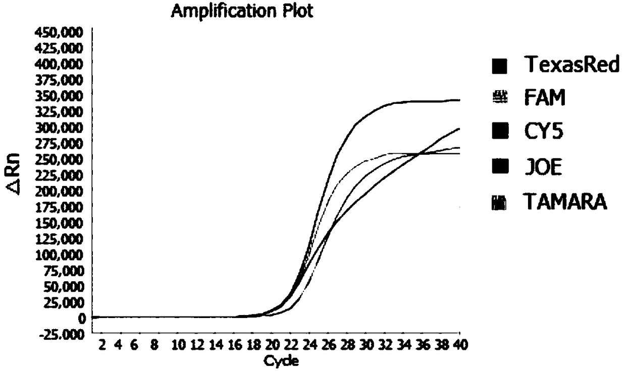 Method for rapid detection of postoperative intracranial bacterial infection by multiple real-time fluorescent PCR (Polymerase Chain Reaction)