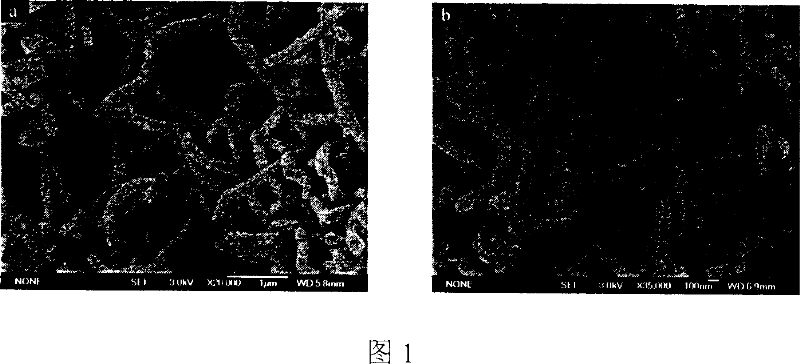 Preparation method of size-controllable nano structural conductive polyaniline