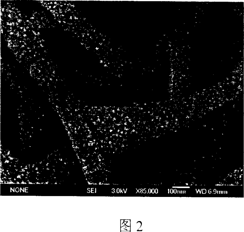 Preparation method of size-controllable nano structural conductive polyaniline