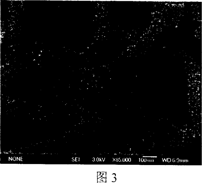 Preparation method of size-controllable nano structural conductive polyaniline