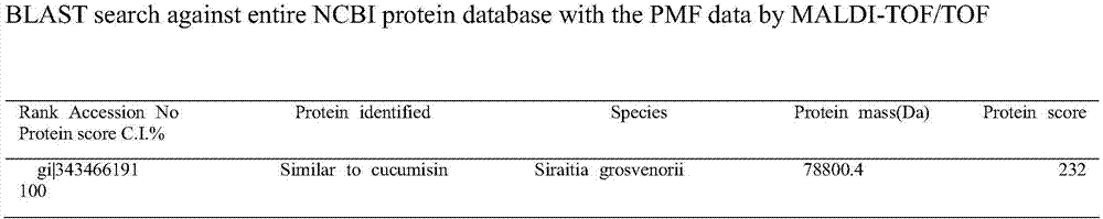 Trichosanthes kirilowii anti-tumor activity protein as well as preparation method and application thereof