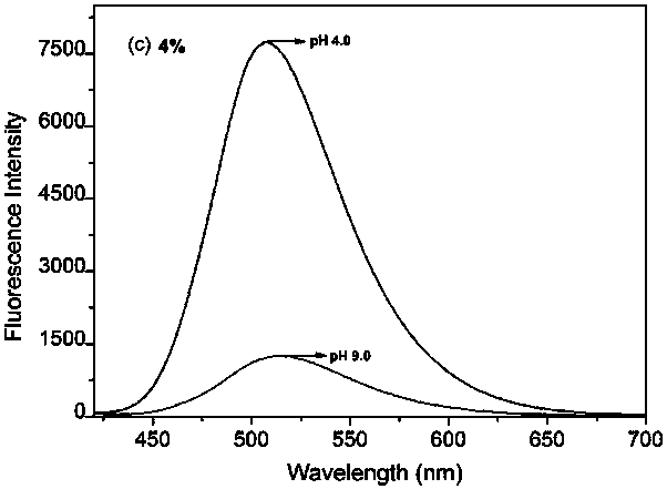 Polymer nanofluorescent probe for detecting pH value in cell as well as preparation method and application of polymer nanofluorescent probe