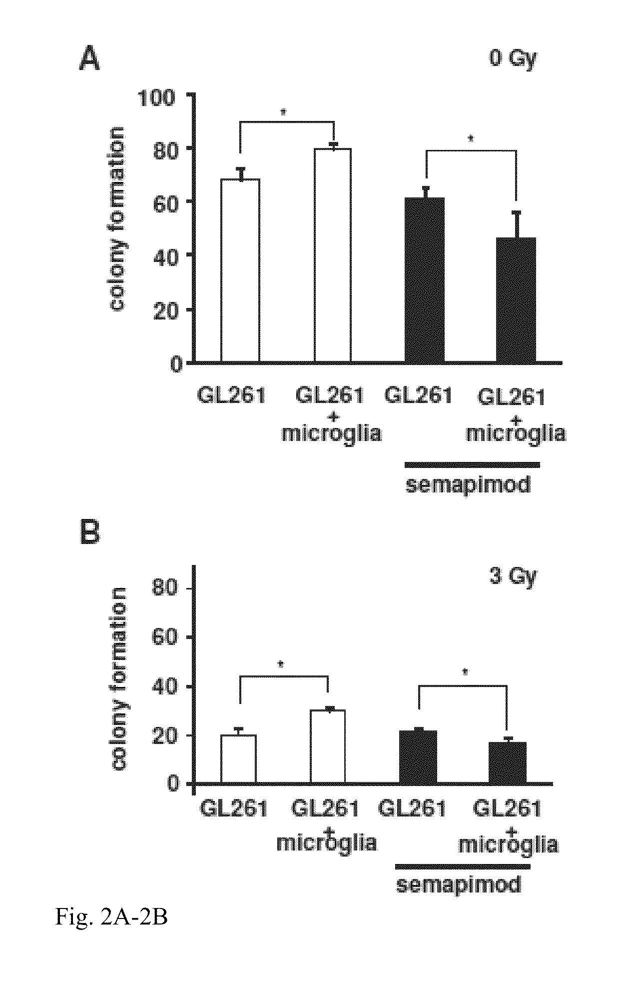 Method for treating glioblastomas and other tumors