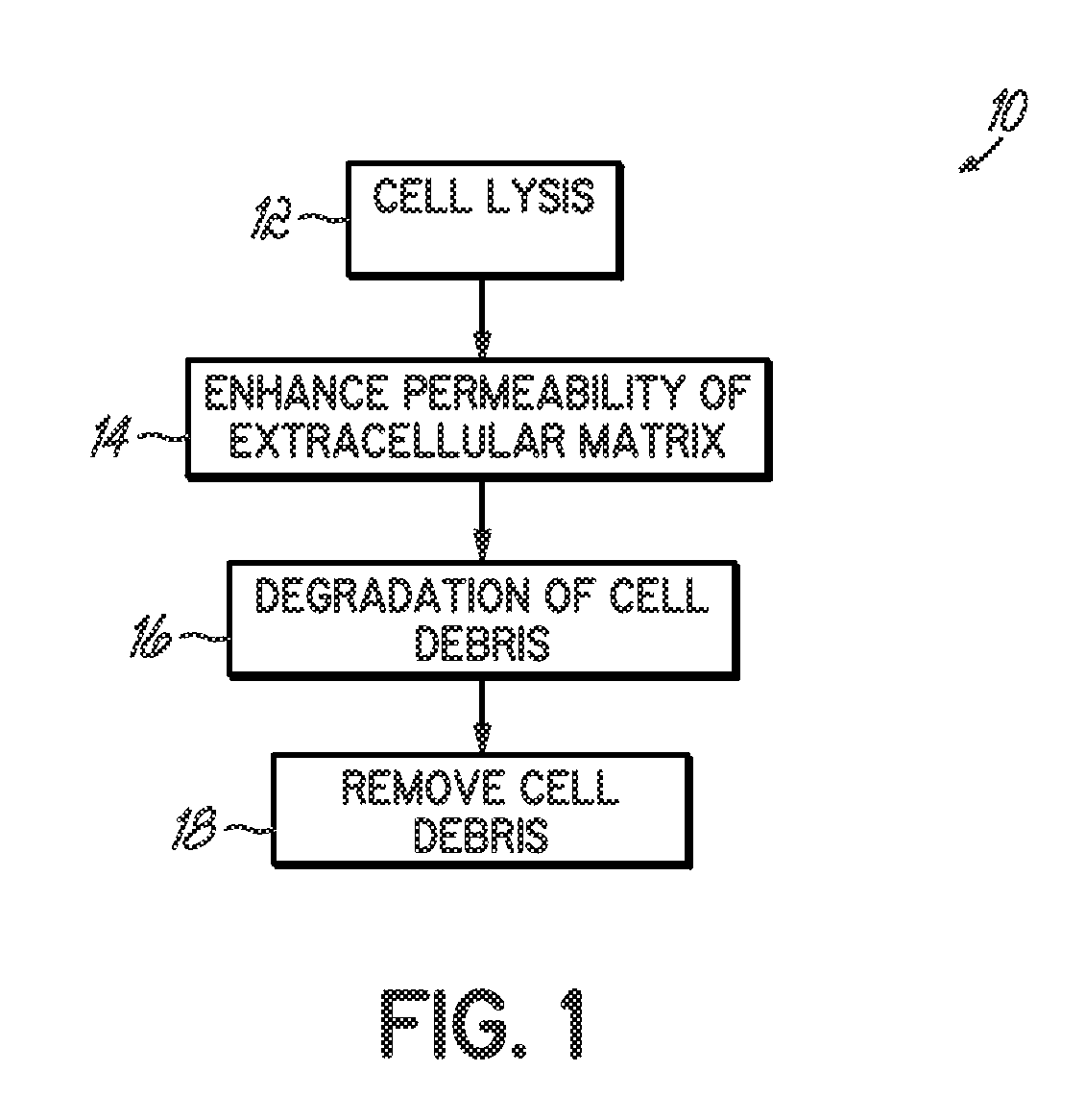 Tissue processing for nonimmunogenic implants