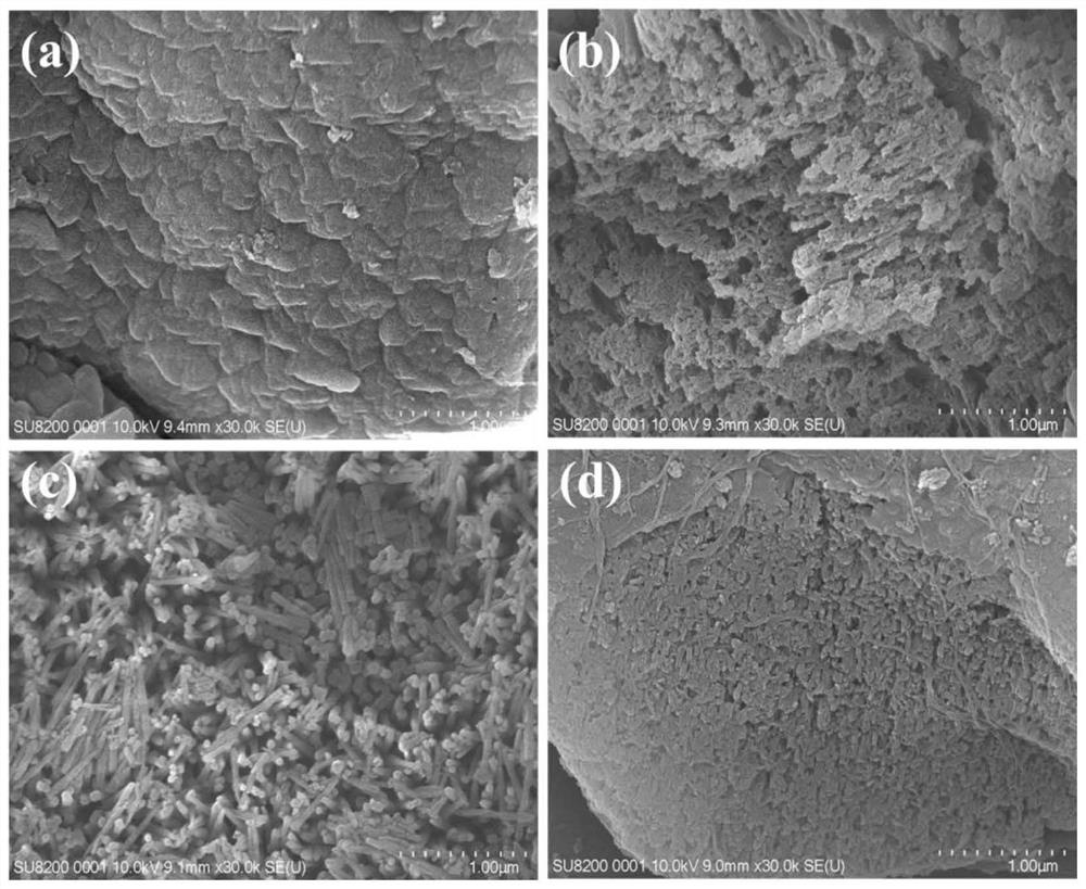 Preparation method of composite visible light catalyst graphene quantum dot/graphite-phase nitrogen carbide