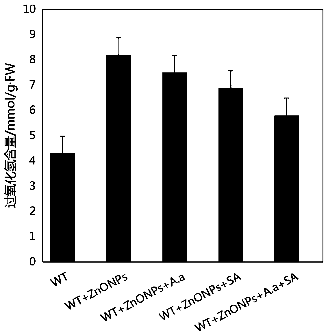 Joint relieving method for stress damage of nanometer zinc oxide to plants by utilizing aspergillus aculeatus fungus and salicylic acid