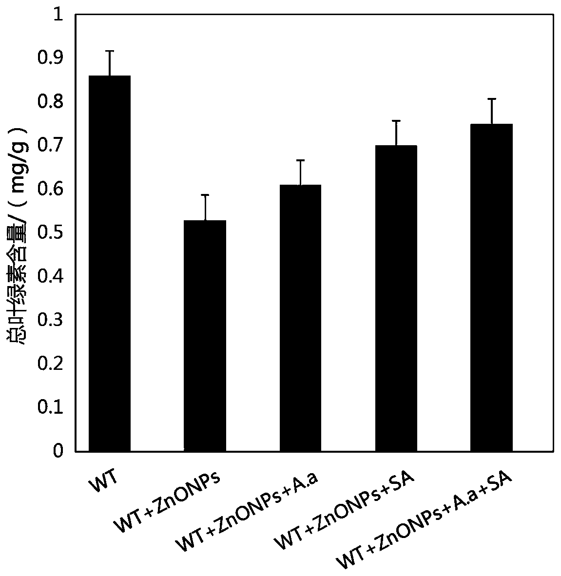 Joint relieving method for stress damage of nanometer zinc oxide to plants by utilizing aspergillus aculeatus fungus and salicylic acid