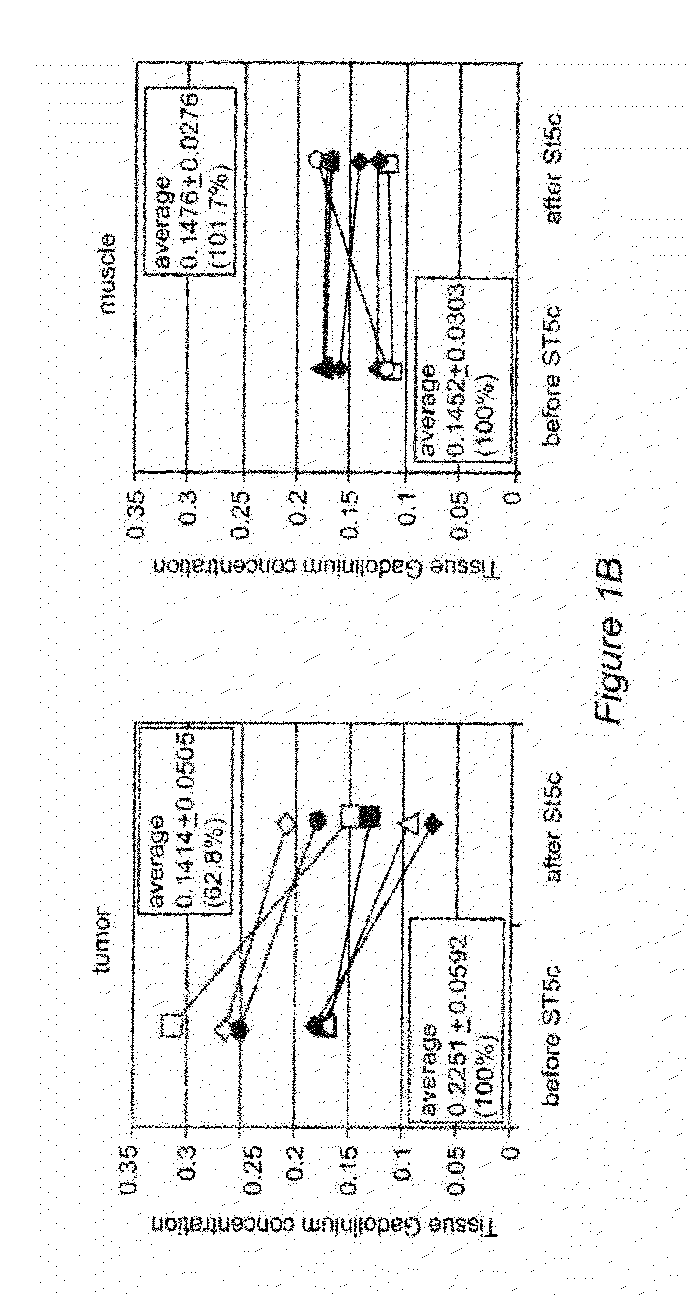 Induction of tumor hypoxia for cancer therapy