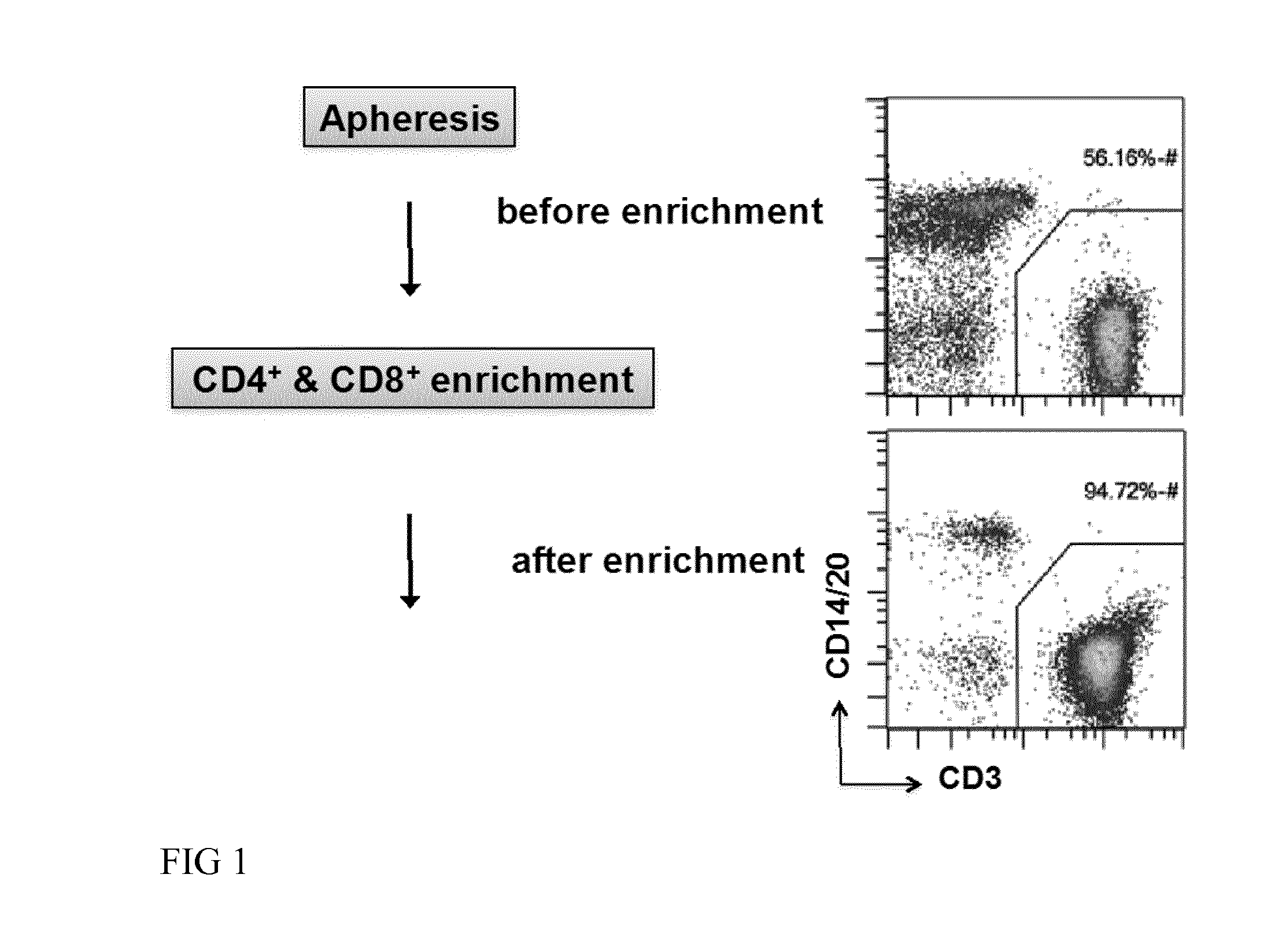 Method for automated generation of genetically modified t cells