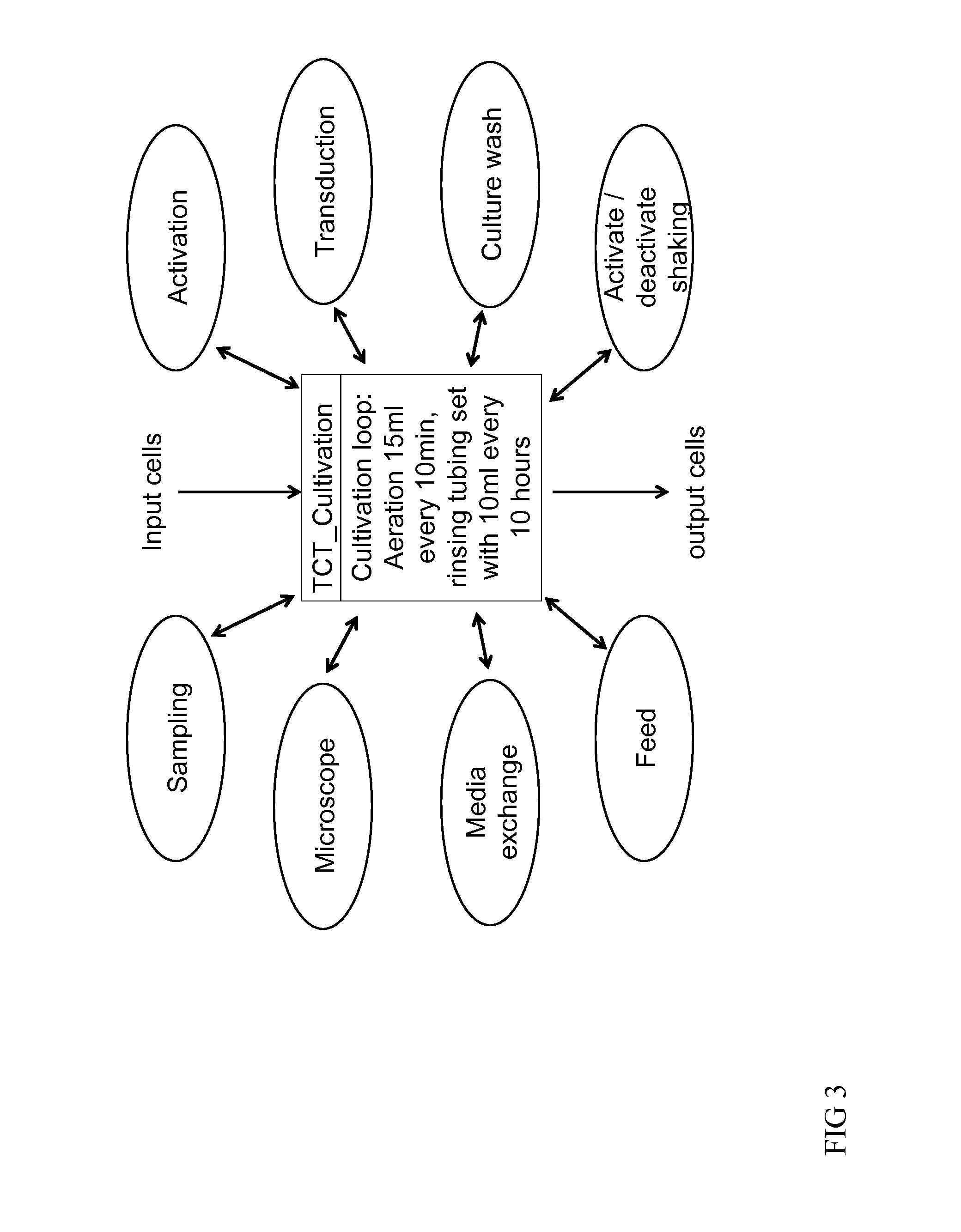 Method for automated generation of genetically modified t cells