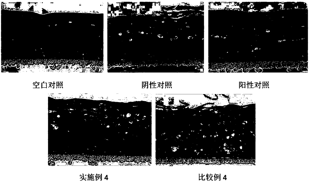 Cosmetic composition containing plant extracts