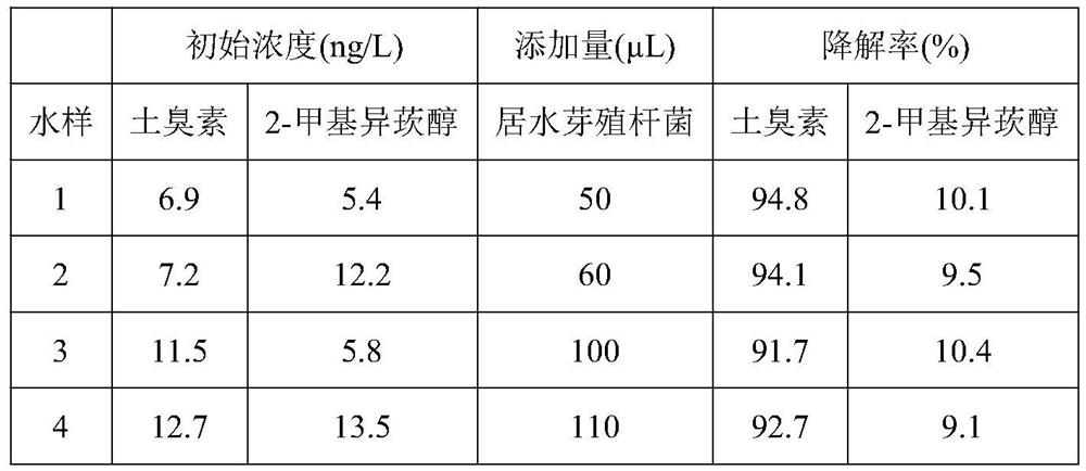 Application of microecological preparation in removing earthy smell and method for removing earthy smell of fishes in RAS system