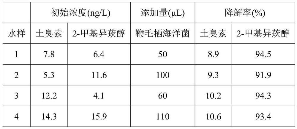 Application of microecological preparation in removing earthy smell and method for removing earthy smell of fishes in RAS system