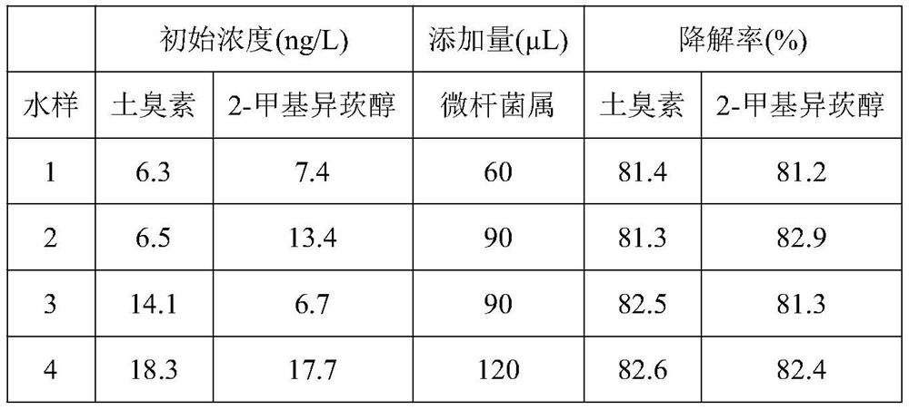 Application of microecological preparation in removing earthy smell and method for removing earthy smell of fishes in RAS system