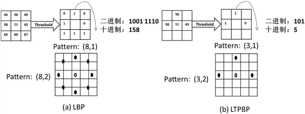 A New Method of Face Feature Description