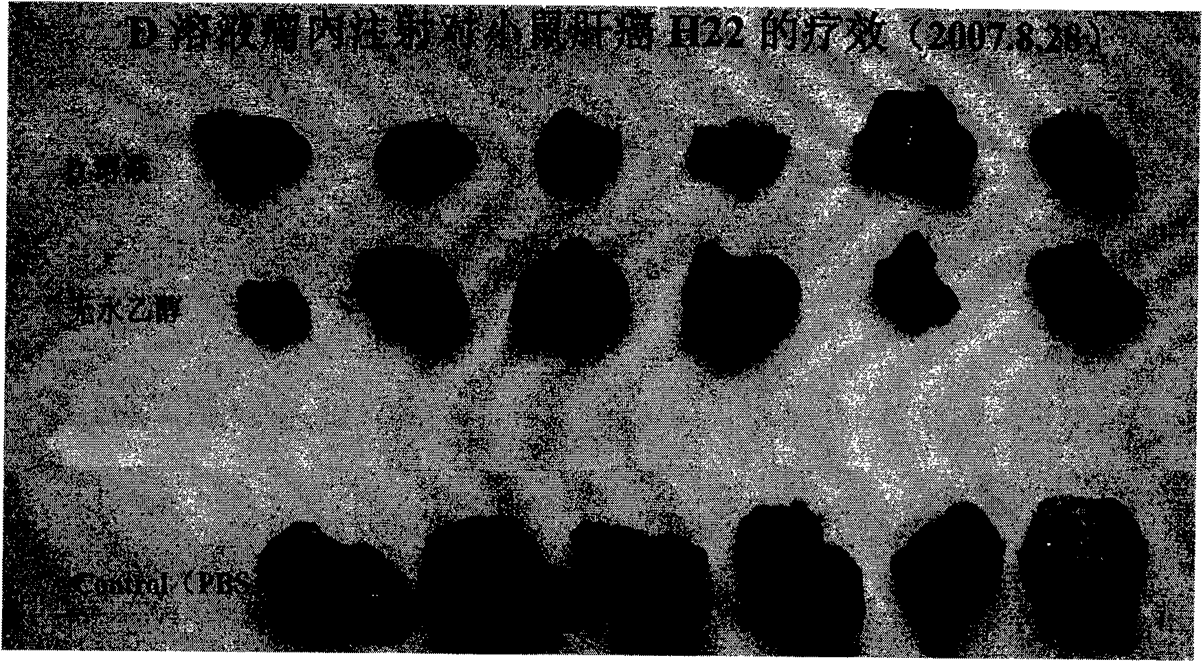 Conjugate of hapten and amino-containing carrier and preparation method and usage thereof