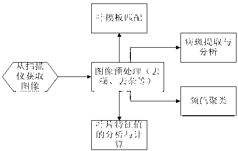 System for analyzing plant leaf features based on image scanning